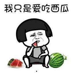 娱乐圈吃瓜的语录